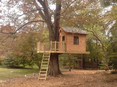 Black decker la guía completa construye una casa en el árbol para tus hijos. - Manuale di installazione di garmin echo 100.