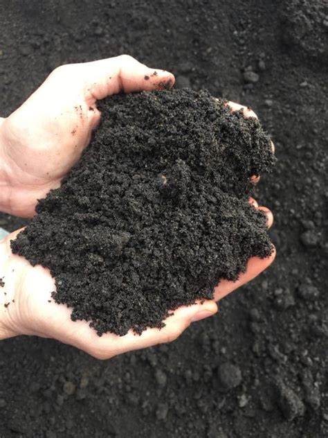 Black dirt for sale near me. Call Prairie View to have one of our qualified truck drivers deliver the material for you. Here is a list of all the material we carry at Prairie View. Topsoil. Fill Dirt. Washed Sand. 1/2" Crushed Rock. 1" Crushed Rock. 1 1/2" Crushed Rock. Trap Rock. 