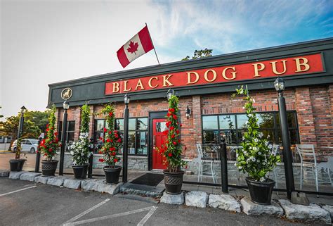Black dog pub. Things To Know About Black dog pub. 