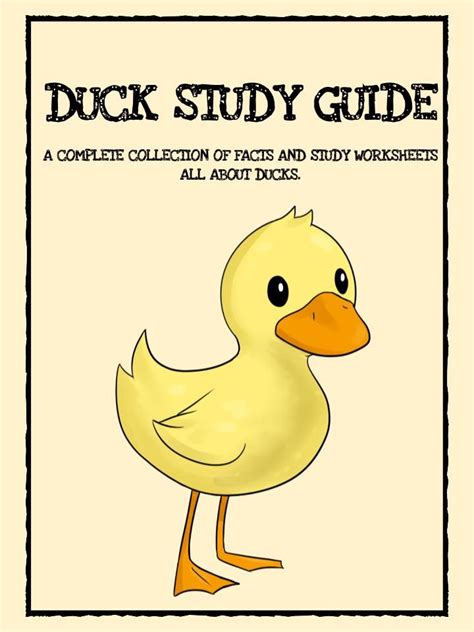 Black duck study guide questions answers. - Manual of requirements for child care centers.
