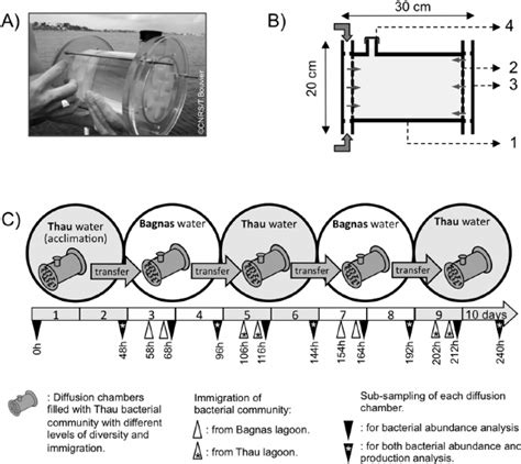 Black leaf diffusion chambers. .  <a href=https://art-volzhskiy.ru/vm6ohom1k/barclay-funeral-h...