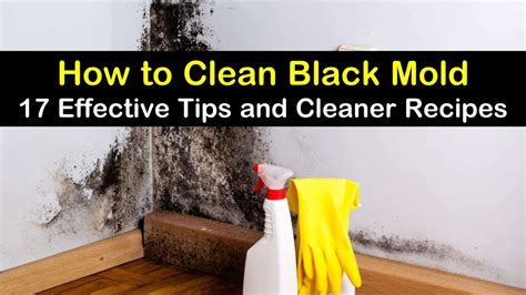 Black mold cleaner. Black mold that forms in your home isn’t just unsightly — it can pose a real health hazard to you and your family. This type of mold typically grows in areas that are continuously ... 
