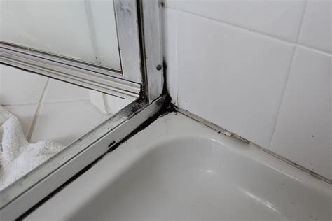 Black mold in a shower. Black mould is unsightly and unhealthy. Once it has a hold, it is diffi... This effective method requires no scraping and no removing and replacing the sealant. 