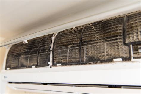 Black mold in air conditioner. Look for dark black dots. The other telltale sign of mold is a musty, damp smell that may become stronger when your air conditioner or furnace is turned on. Why ... 