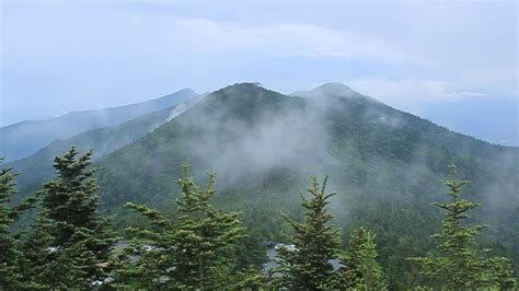  View of Mt. Mitchell and a portion of the Black Mountain Range in Yancey County, NC from a webcam positioned on the south side of Blue Knob pointing southeast. The peaks in the center of the view, from left to right, are Balsam Cone (6600 ft.), Big Tom (6526 ft.), Mt. Craig (6647 ft.), and Mt. Mitchell (6684 ft.) . 