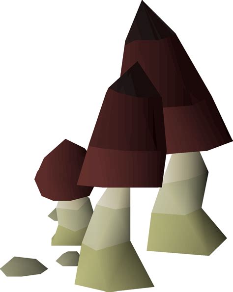 The black mushroom is a quest item that can be found growing in s
