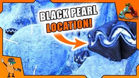 Black pearls crystal isles location. Things To Know About Black pearls crystal isles location. 