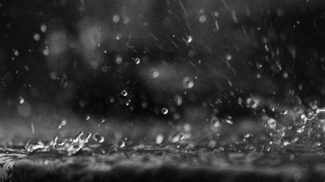 Black raining. Things To Know About Black raining. 