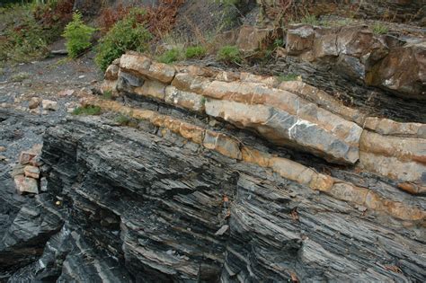 The Carboniferous (Namurian) Clare Shale Formation (Shannon Group) consists of finely laminated, pyritic, deep marine black shales, deposited 326.5–318.5 Ma (Menning et al., 2006; Wignall and Best, 2000).The black shale sequence is up to 180 m thick at surface, (Tanner et al., 2011), with a maximum observed thickness of 280 m in …. 