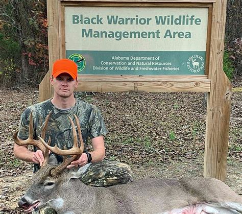 Black warrior wma. BLACK WARRIOR WILDLIFE MANAGEMENT AREA BANKHEAD NATIONAL FOREST (Lawrence & Winston Counties) ALABAMA DEPARTMENT OF CONSERVATION AND NATURAL RESOURCES DIVISION OF WILDLIFE & FRESHWATER FISHERIES Hunting Regulations – September 2019– August 2020 