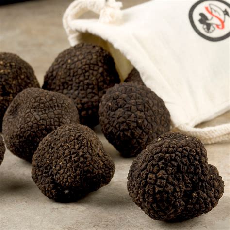Black winter truffle. Black truffles add a delicious hint of bitterness to recipes with notes of cocoa, spice and earthy undertones. Shop Grocery at Fortnum's. 