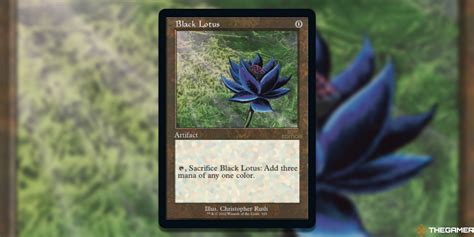 🍌 Black.Lotus Leaked [HD]
