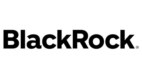 BlackRock Logo and symbol, meaning, history, PNG