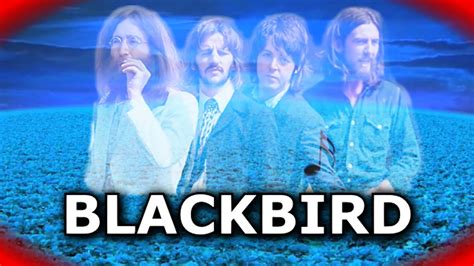 Blackbird - The Beatles - spanish version - YouTube