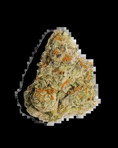 Blue Lemon is an indica-dominant strain with a dynamite taste 
