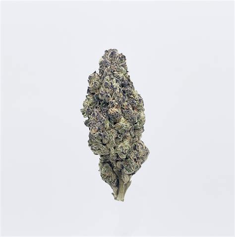 A cross between unknown strains, Gumbo is an indica-dominant hybrid that is great for relaxation and increasing your appetite. Learn more about this strain, …. 
