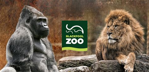 Blackpool Zoo Official App APK Download for Android 