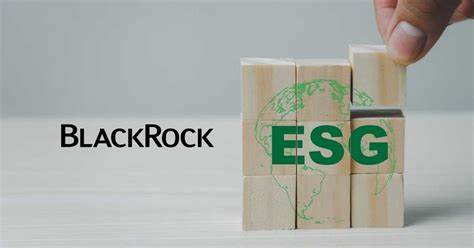 Why is ESG controversial? For years now, BlackRock