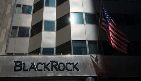 Blackrock robo advisor. Things To Know About Blackrock robo advisor. 