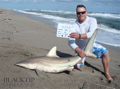 Blacktip Challenge Shark Fishing Tournament Shark