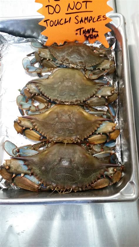 Blake crabs. Being in Baltimore, Blakes Crab House in 21205 serves many nearby neighborhoods including places like Hudson - Highlandtown, Overlea, and Fells Point. If you want to see a complete list of all seafood restaurants in Baltimore , we have you covered! 