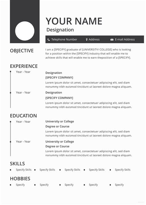 Blank CV template example in Word and Pdf formats page 2 of 2