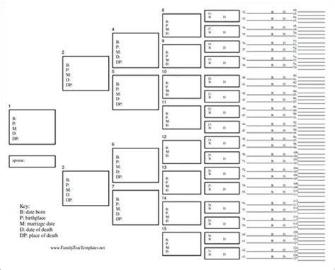 Blank Family Tree Chart 6+ Free Excel, Word Documents Download