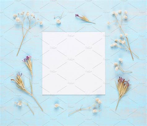 Blank Greeting Card 17+ Examples