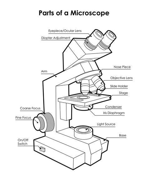 Blank Microscope Diagram