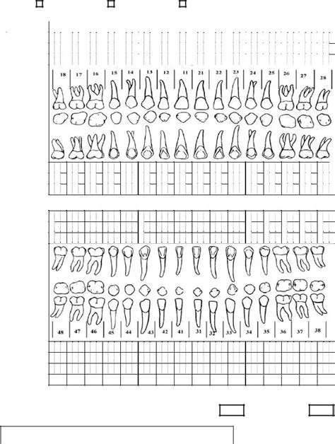 Blank Perio Chart Form Fill Out and Print PDFs