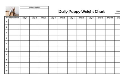 Blank Printable Puppy Weight Chart