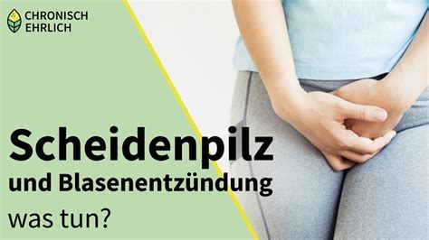 Blasenentzündung Beim Sex Übertragbar