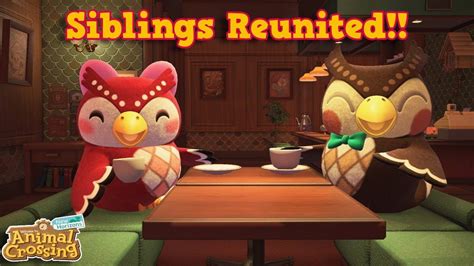 Blathers and Celeste Animal Crossing Community