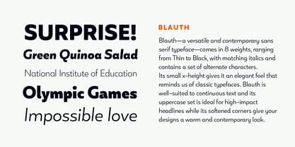 Blauth Font Webfont & Desktop MyFonts