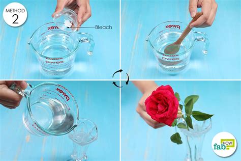 Bleach in flower water. Flowers 3 and 4, with the sugar, will vary in how long they stayed fresh, but Flower 3 should have lived longer than Flower 4. The flower with a small amount of bleach, Flower 5, should have lived longer than Flower 6. Why? Flowers live by absorbing nutrients from the soil and making sugar through photosynthesis. Photosynthesis is the process ... 