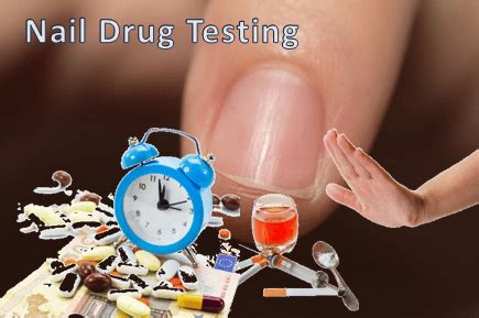 Bleaching nails for drug test. A drug test (also often toxicology screen or tox screen) is a technical analysis of a biological specimen, for example urine, hair, blood, breath, sweat, or oral fluid/saliva—to determine the presence or absence of specified parent drugs or their metabolites.Major applications of drug testing include detection of the presence of performance enhancing steroids in … 
