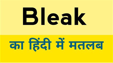 Bleak meaning in Hindi - ब्लीक मतलब हिंदी में - Translation