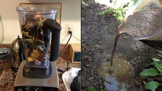 Blend Your Old Food Scraps For Instant Compost - Lifehacker