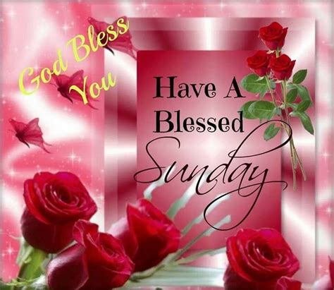 Blessed sunday. Things To Know About Blessed sunday. 