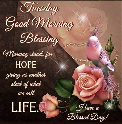 Blessing good morning tuesday. 150 Tuesday Quotes. 1. “Tuesday is Monday’s ugly sister .”. - Unknown. 2. “Monday always passes and there will always be a Tuesday with a beautiful blue sky with few clouds.”. - Unknown. 3. 
