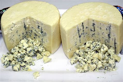 Bleu cheese. Both P. roqueforti and P. glaucum are closely related to the white powdery molds that colonize brie styles of cheeses. These aerobic molds need oxygen to thrive, and the cheese is pierced as part of the aging process in order to allow oxygen into the wheels. This results in the distinctive veining that is typical with blue cheese. 