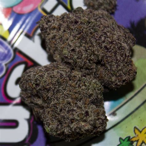 Bleu zlushie weed strain. Blueberry Cupcake is a hybrid weed strain made from a genetic cross between Blueberry Muffin and Wedding Cake. This strain is 50% sativa and 50% indica. Blueberry Cupcake has a delicious flavor ... 