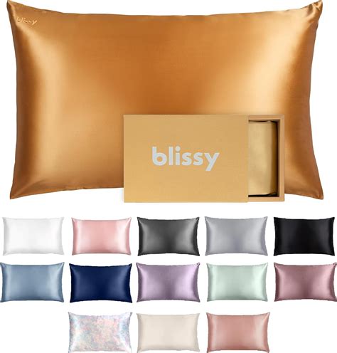 Blissy Silk Pillowcase - 100% Pure Mulberry Silk - 22 Momme 6A …