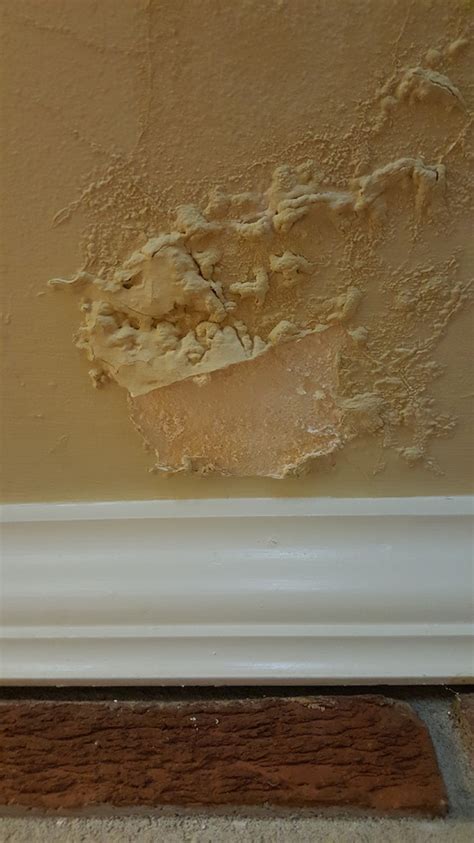 Blistering Ceiling Paint - Houzz