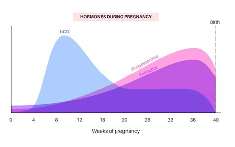 Bloating 10 weeks pregnant.  Hormone levels changing: Your hormone levels...