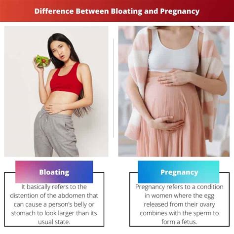 Bloating vs Pregnancy Difference and Comparison