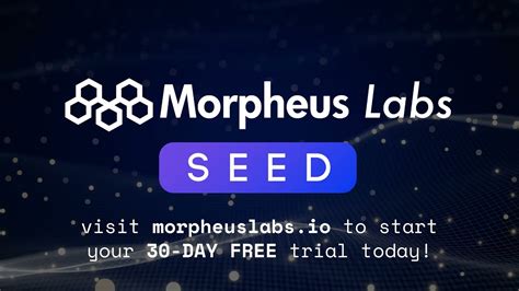 Blockchain Networks - Morpheus Labs SEED