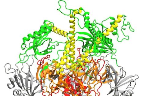 Blocking Virus Entry: Modulating Key Protein Interactions (2026)