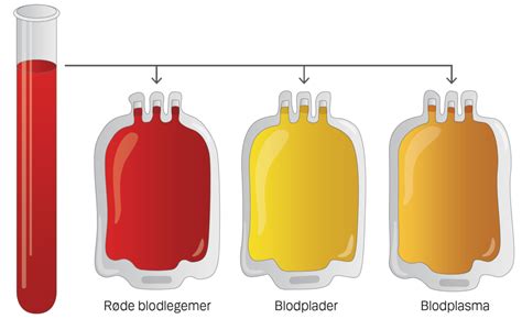 Blodplasma transfusion
