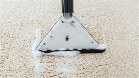 Blog - Greengenics Carpet Cleaning